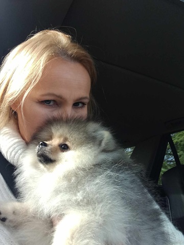 Le spitz nain est-il fait pour moi - Elevage Of Lovely Tim